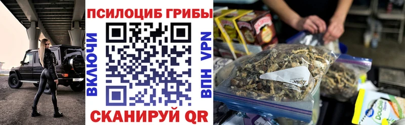 Галлюциногенные грибы Psilocybe  сколько стоит  Псков 